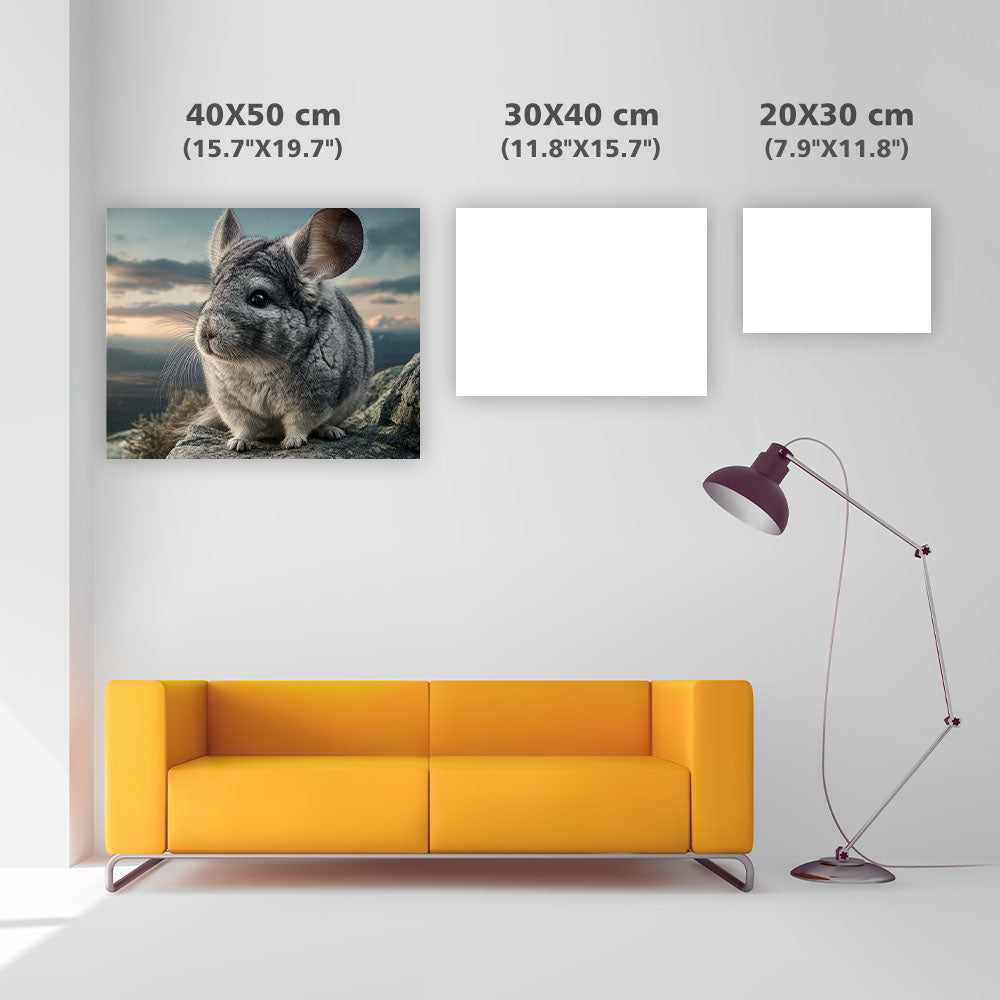 Chinchilla on Rock - Diamond Painting