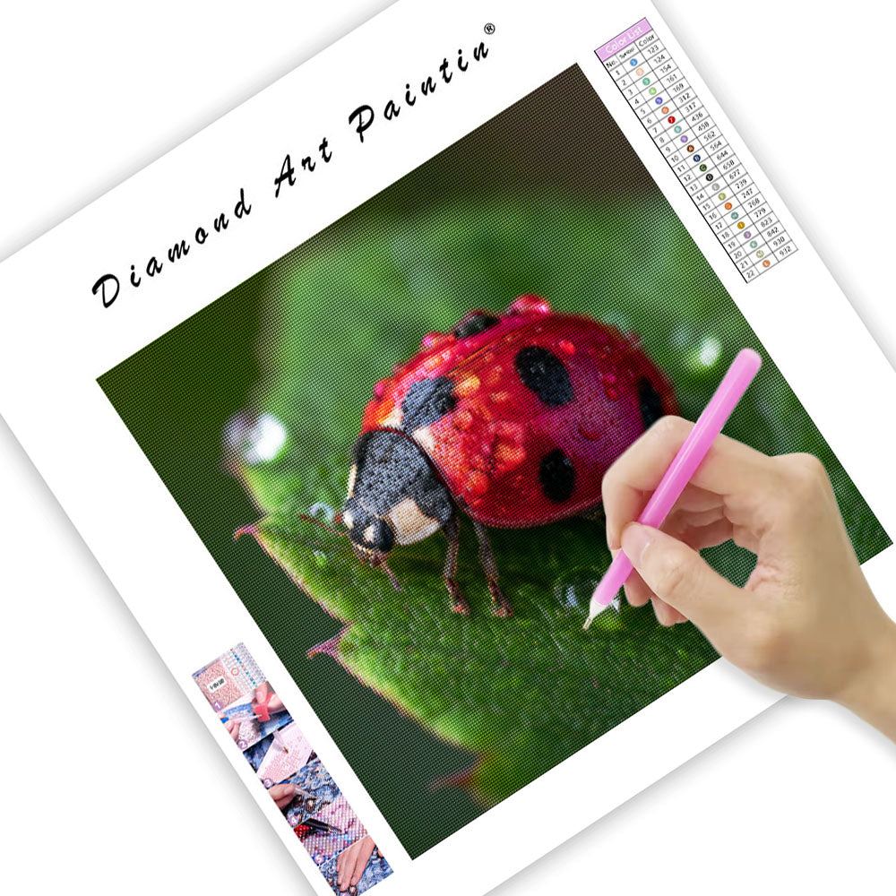Ladybug on a Leaf - Diamond Painting