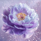 Purple Peony - Diamond Painting