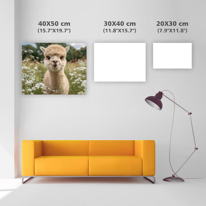 Baby Alpaca in Meadow - Diamond Painting