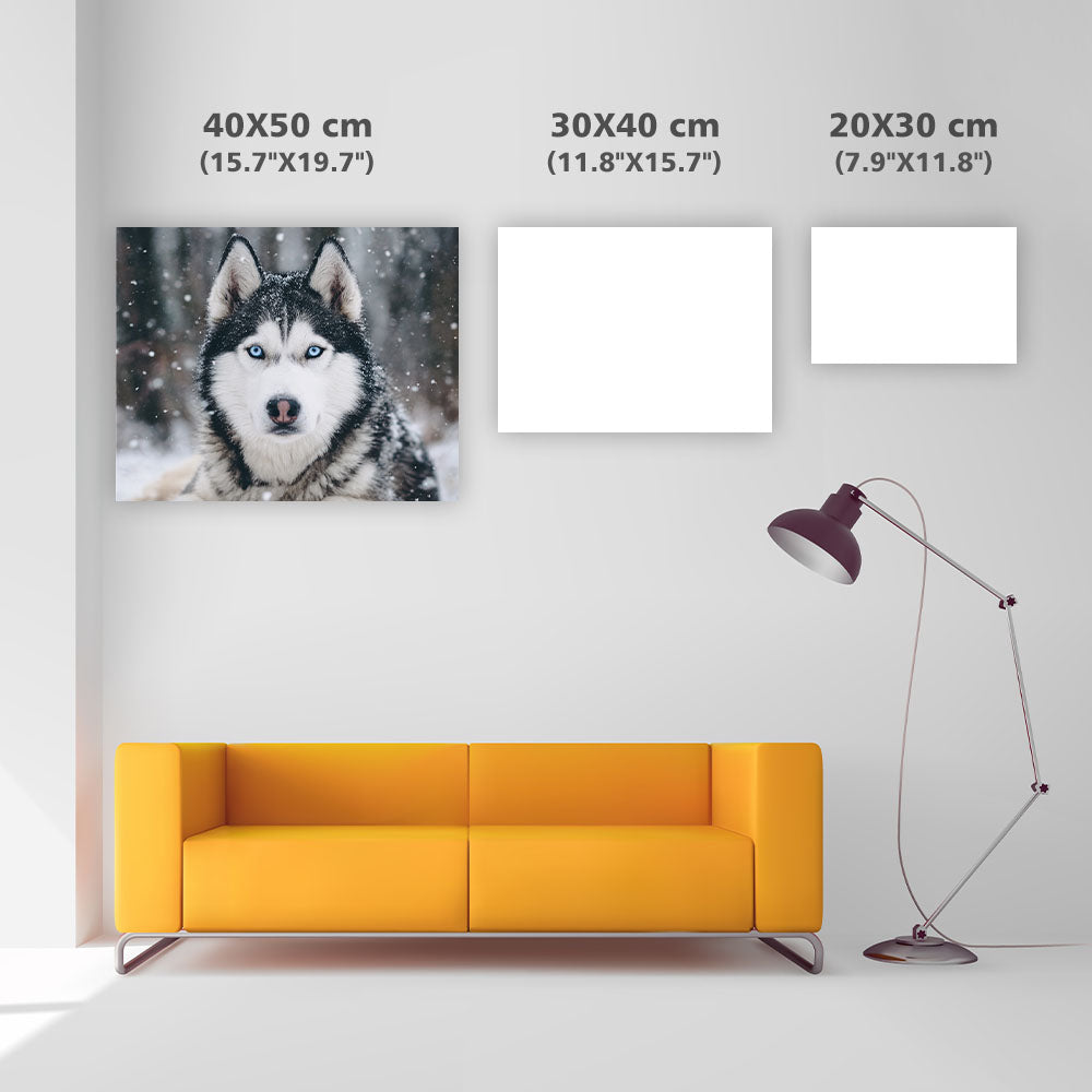Husky in Snow - Diamond Painting