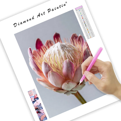 Protea Flower Head - Diamond Painting