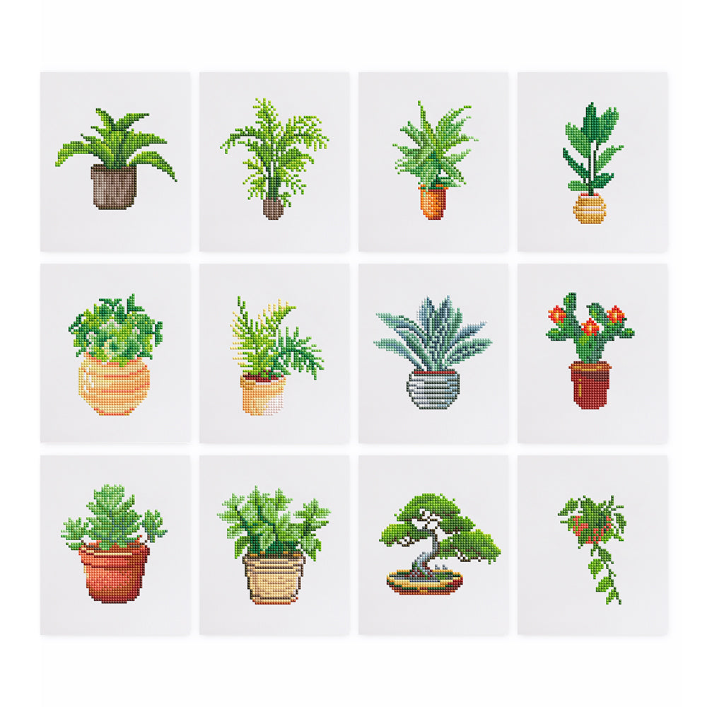Mini-Indoor Greenery