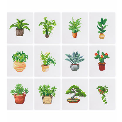 Mini-Indoor Greenery