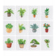 Mini-Indoor Greenery