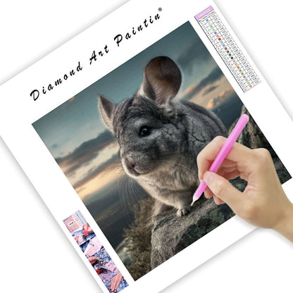 Chinchilla on Rock - Diamond Painting