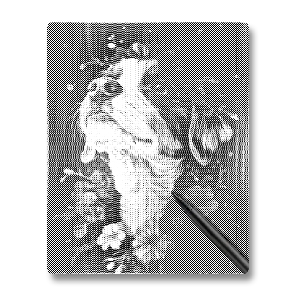 Bernese Mountain Dog - Dot Painting