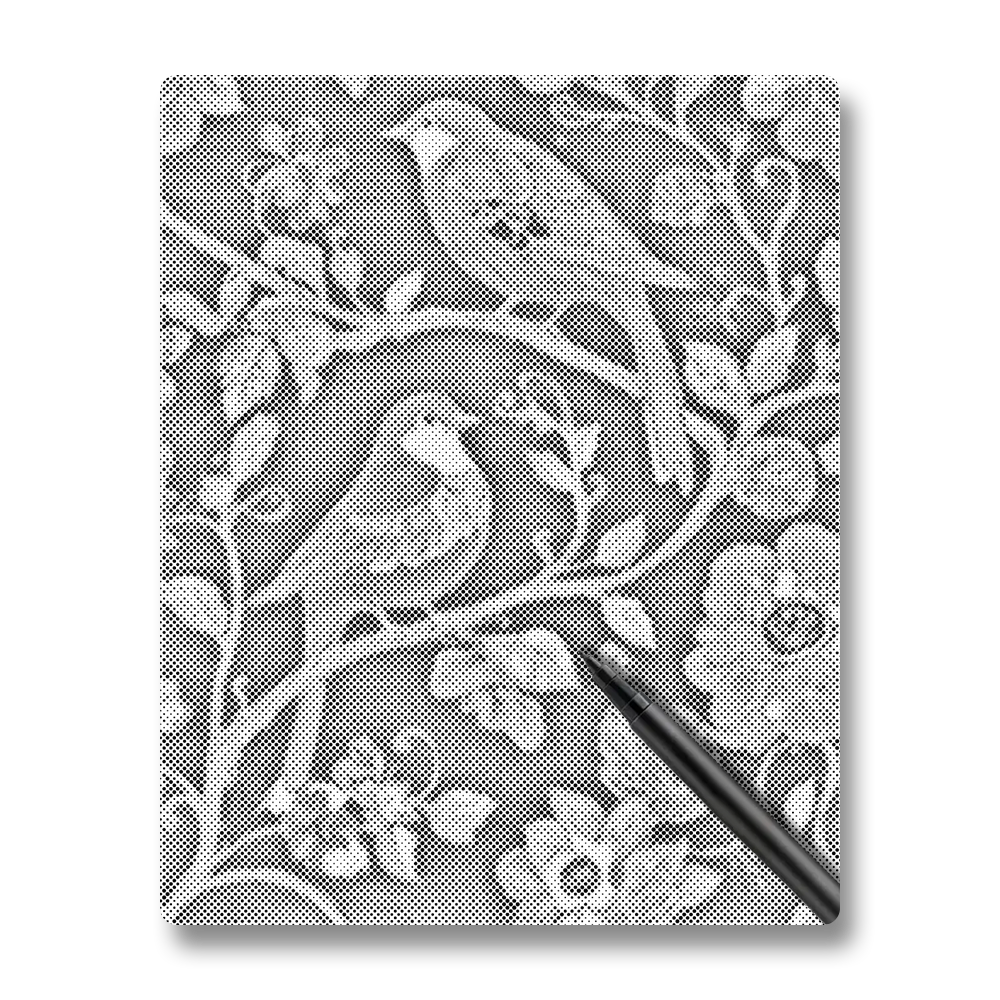 Bohemian Gold-edged Bird - Dot Painting