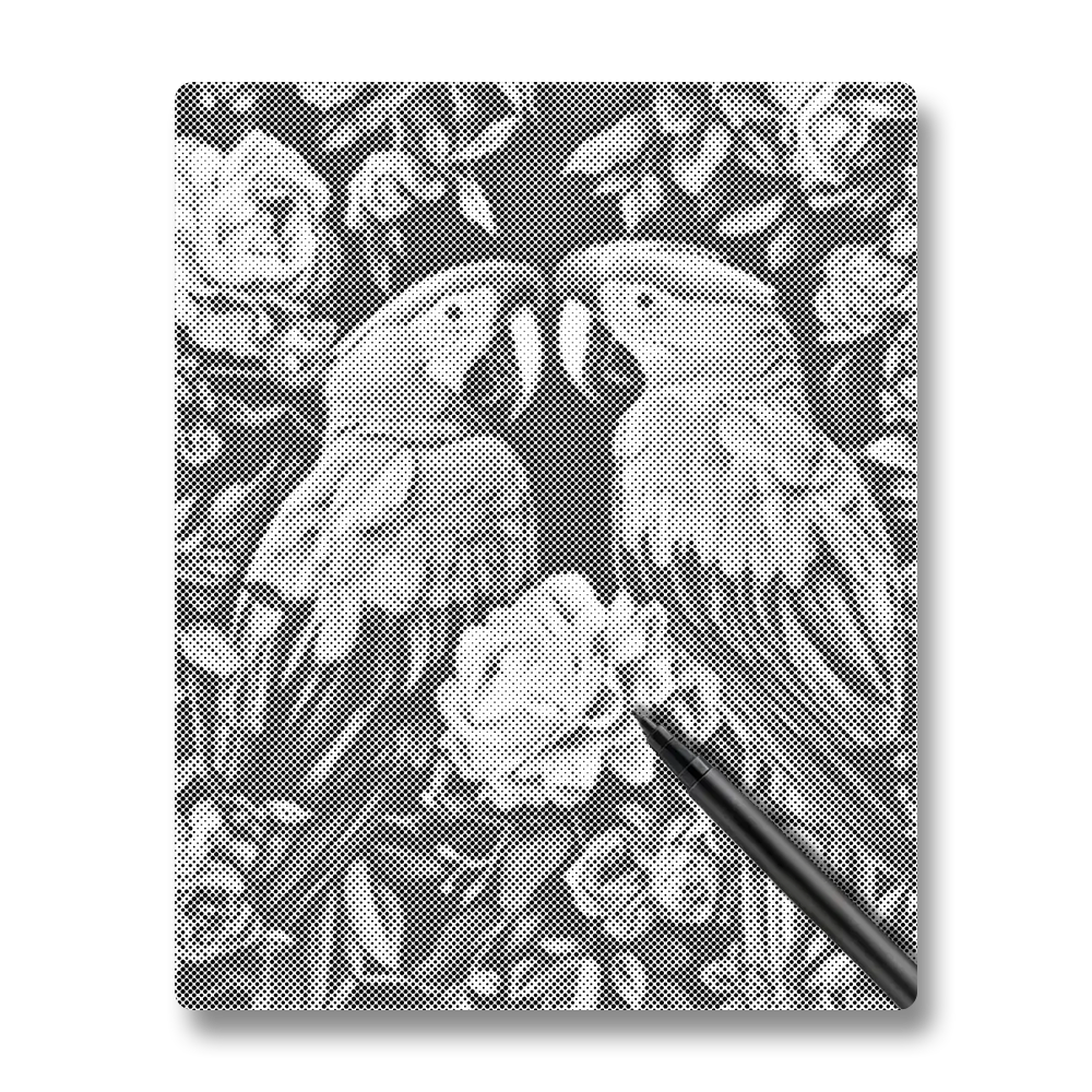 Parrot Couple - Dot Painting