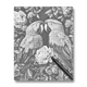 Parrot Couple - Dot Painting