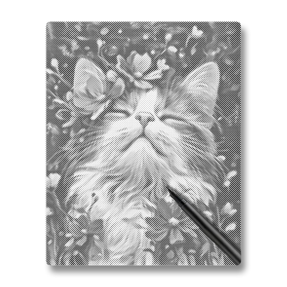 Ragdoll cat - Dot Painting