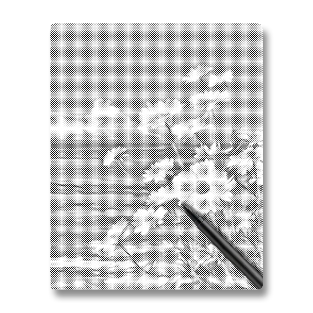 Sea Daisies - Dot Painting