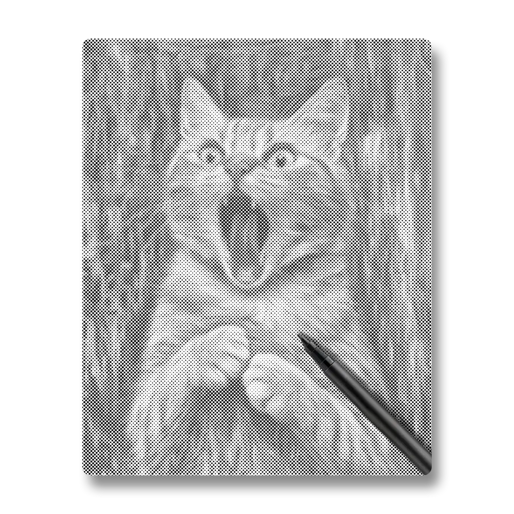 The Scream of Cat - Dot Painting