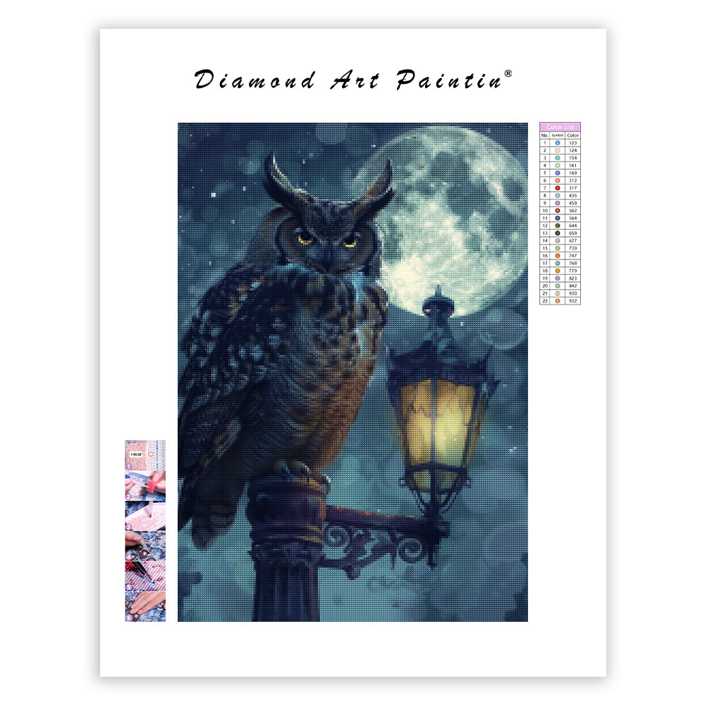 Galaxy Owl - Diamond Painting