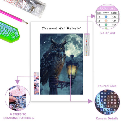 Galaxy Owl - Diamond Painting