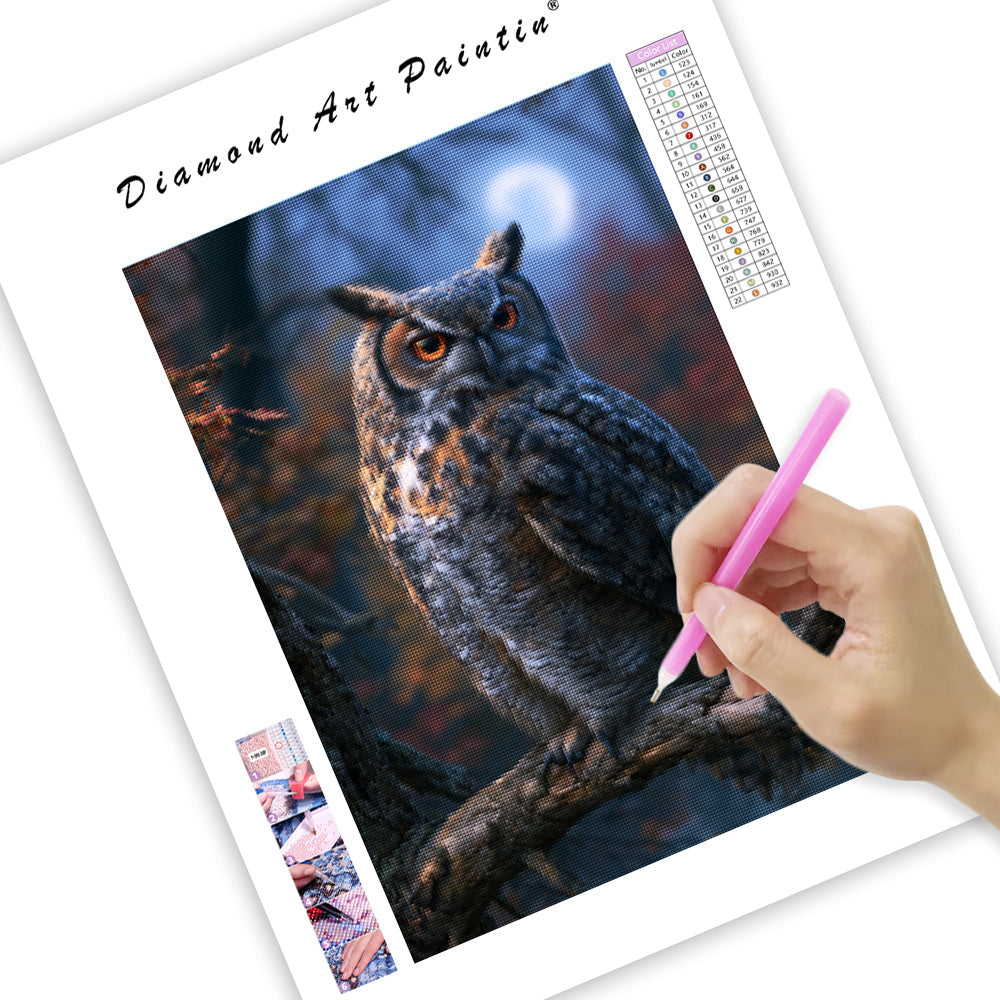 Enchanted Owl - Diamond Painting