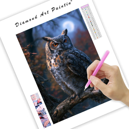 Enchanted Owl - Diamond Painting