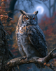 Enchanted Owl - Diamond Painting