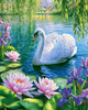 Floral Swan - Diamond Painting