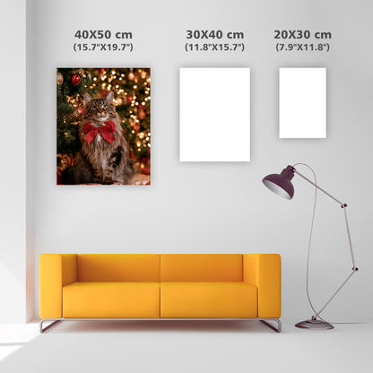 Maine Coon Christmas - Diamond Painting