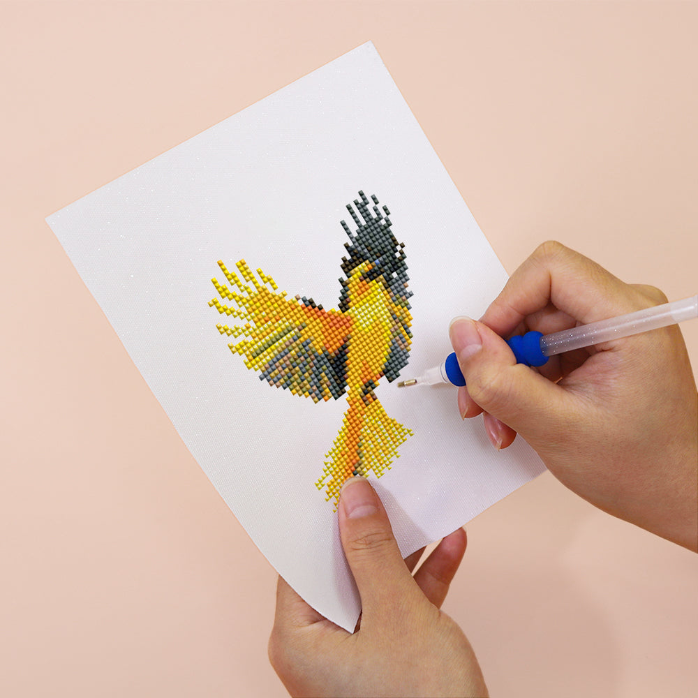 MINI-Colorful Bird