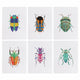 MINI-Colorful Beetles