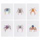 MINI-Colorful Spiders