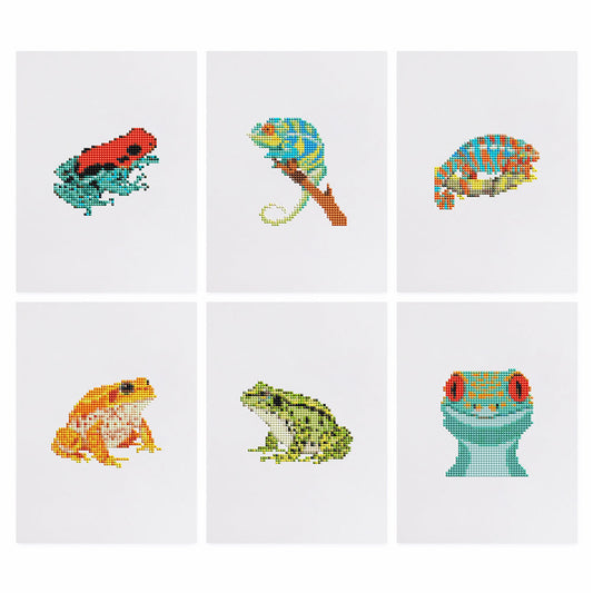 MINI-Tropical Frogs