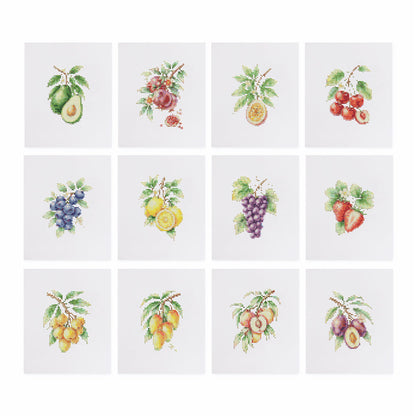 MINI-Fruit Botanicals