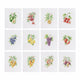 MINI-Fruit Botanicals
