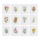MINI-Elegant Floral Bouquets