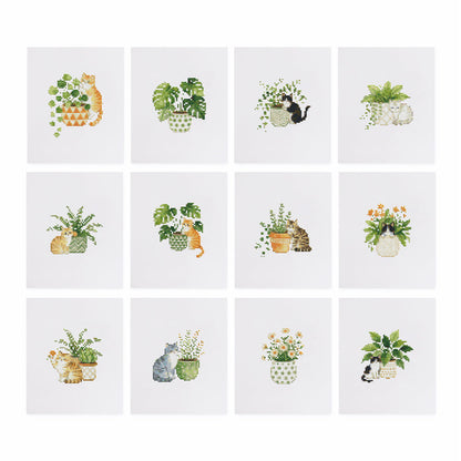MINI-Cozy Indoor Plants