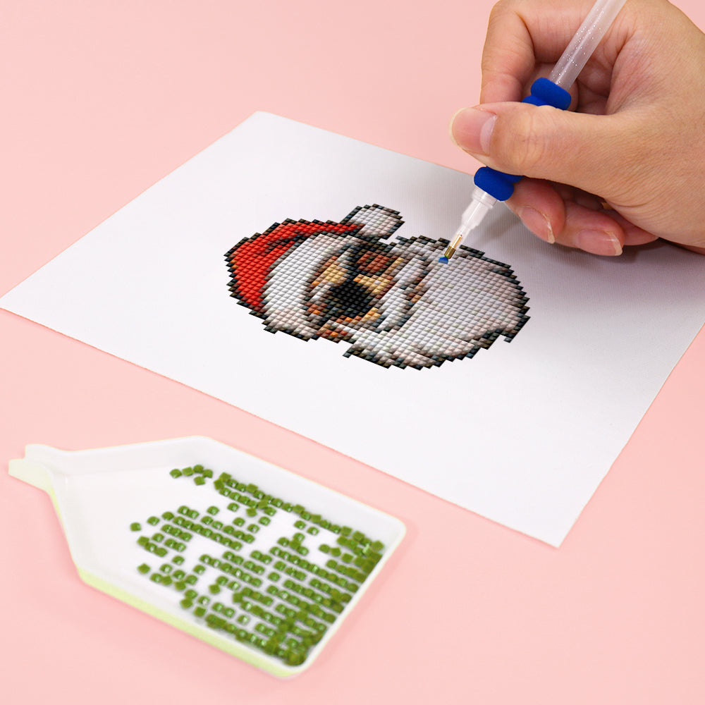MINI-Santa Claus Portrait