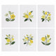 MINI-Lemon Botanical Art