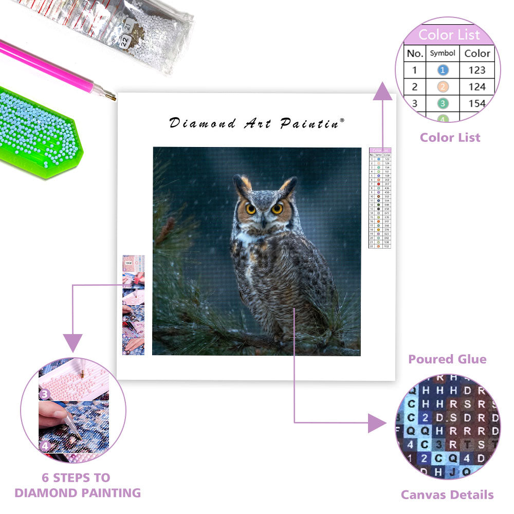Great Horned Owl in Snow - Diamond Painting
