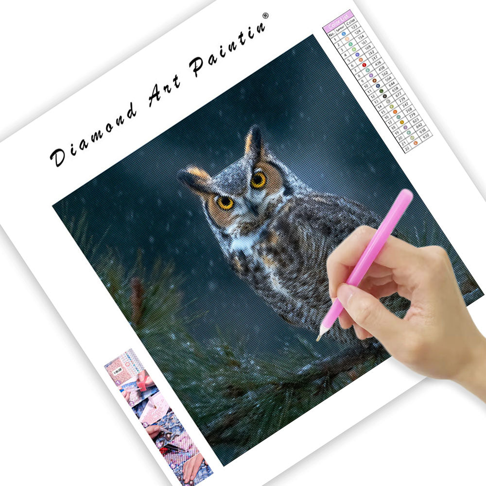 Great Horned Owl in Snow - Diamond Painting