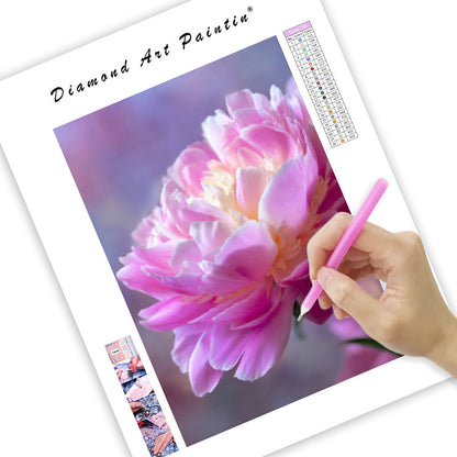 Pink Peony Bloom - Diamond Painting