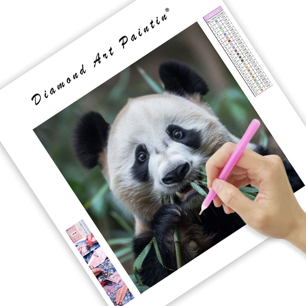 Panda Peace - Diamond Painting