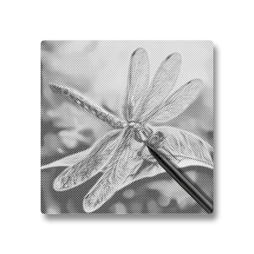 Colorful Dragonfly - Dot Painting