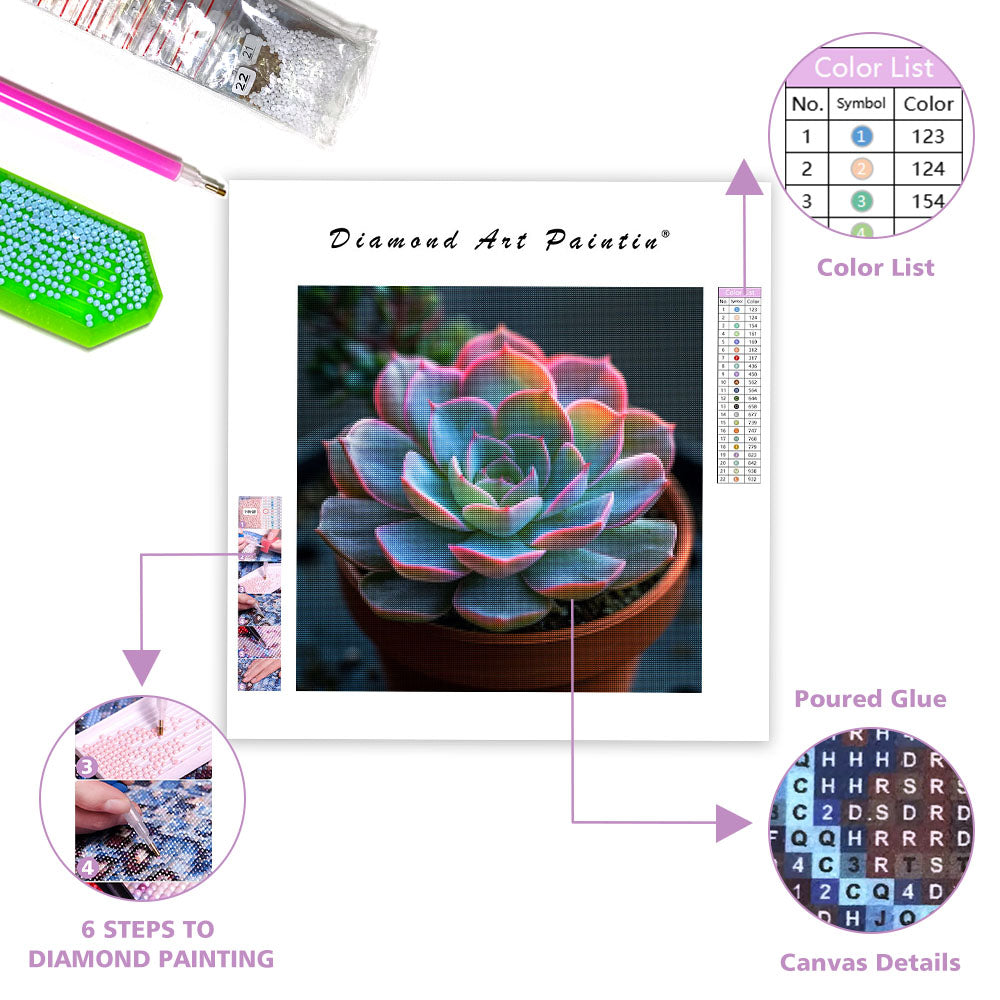 Succulent Rosette - Diamond Painting