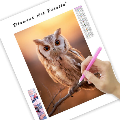 Owl Night Glow - Diamond Painting
