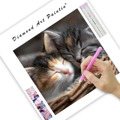 Kittens' Cuddly Slumber - Diamond Painting
