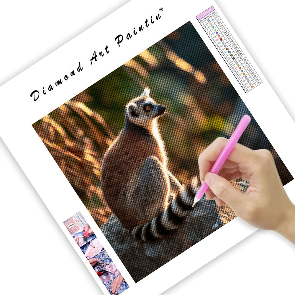 Ring-tailed Lemur Sunbathing - Diamond Painting