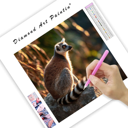 Ring-tailed Lemur Sunbathing - Diamond Painting
