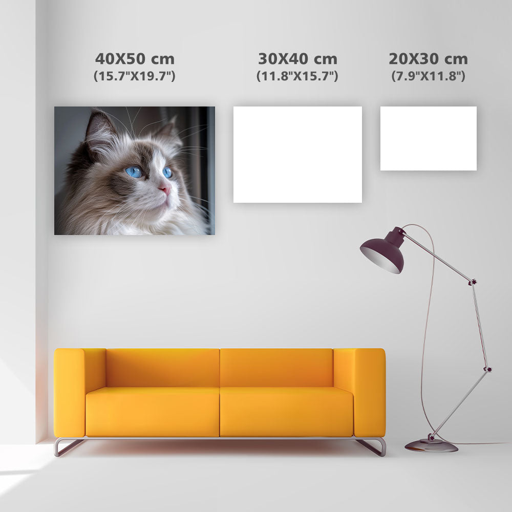 Ragdoll Blue Eyes - Diamond Painting
