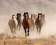 Wild Horses Running - Diamond Painting