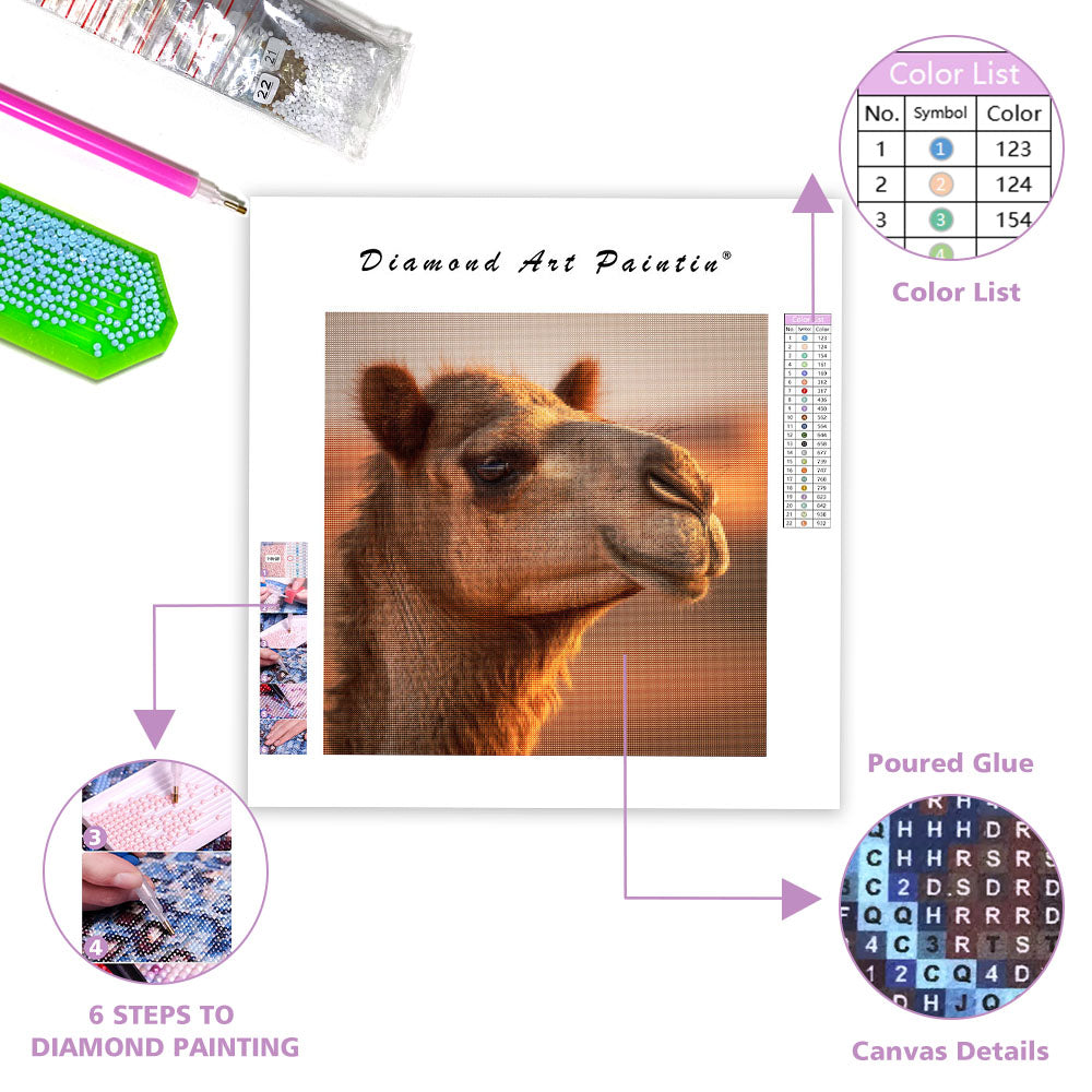 Camel in the Desert - Diamond Painting