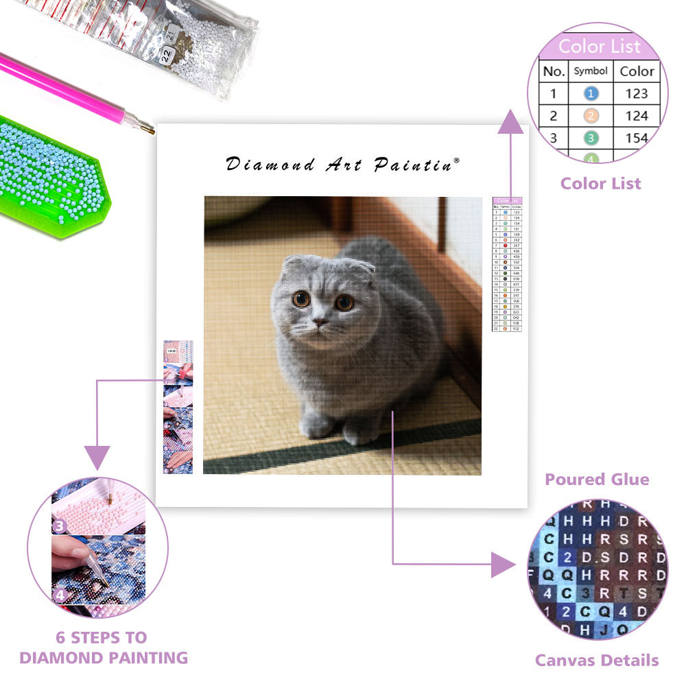 Scottish Fold Loaf - Diamond Painting