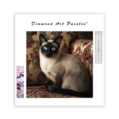 Siamese Cat Elegance - Diamond Painting