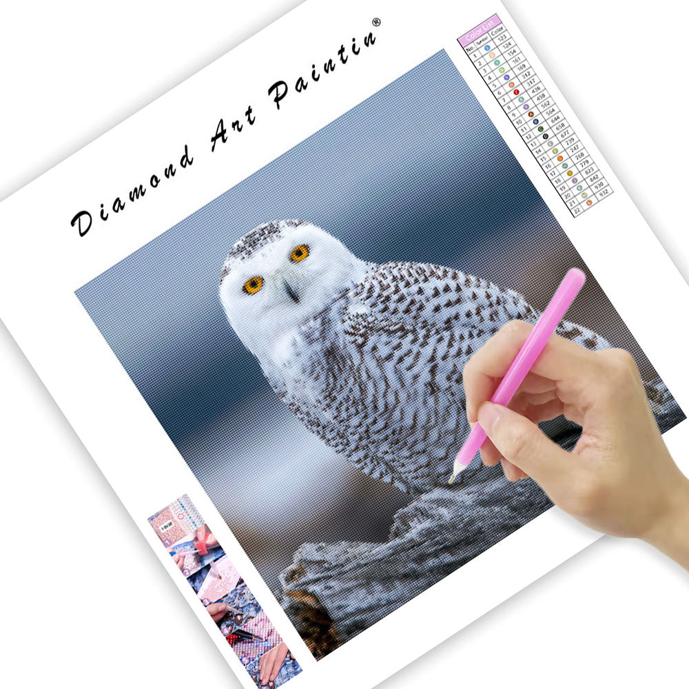 Snowy Owl on Log - Diamond Painting